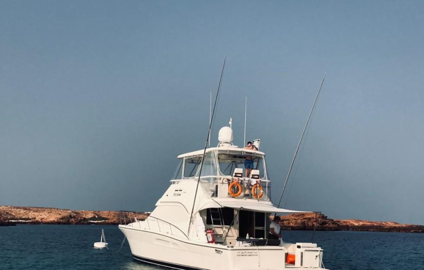 Elevate your Experience: Hire Your Luxury Yatch in Muscat